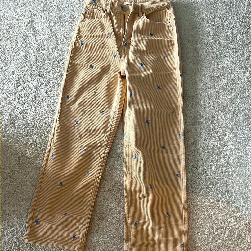 PacSun mushroom cargo pants